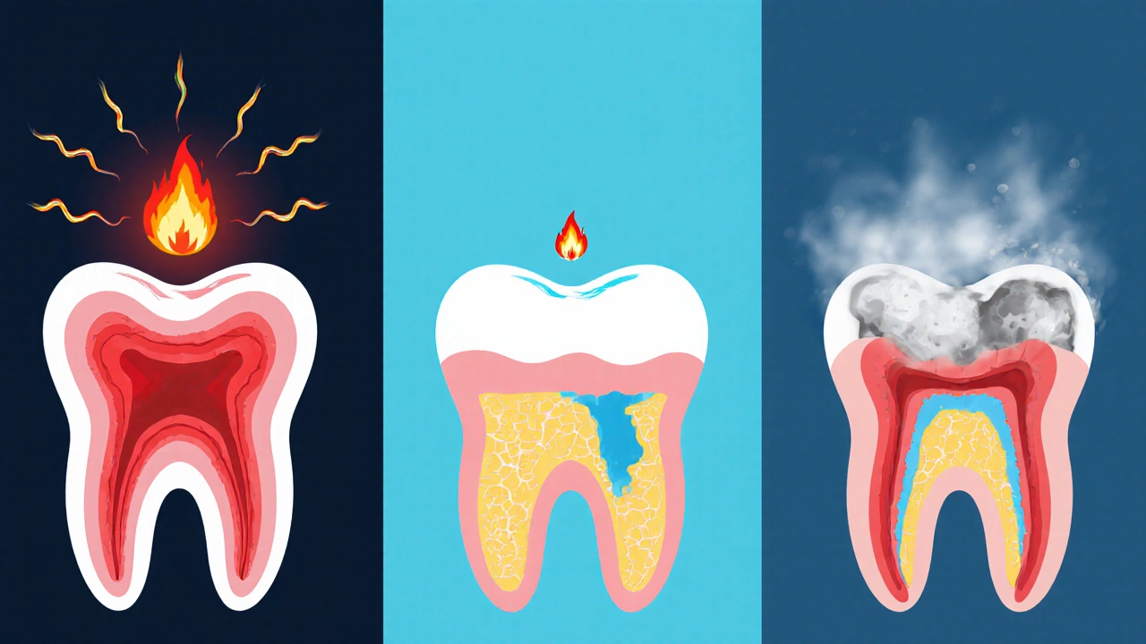 Ilustrace tří typů zubního zánětu: pulpitis, parodontitida, absces.